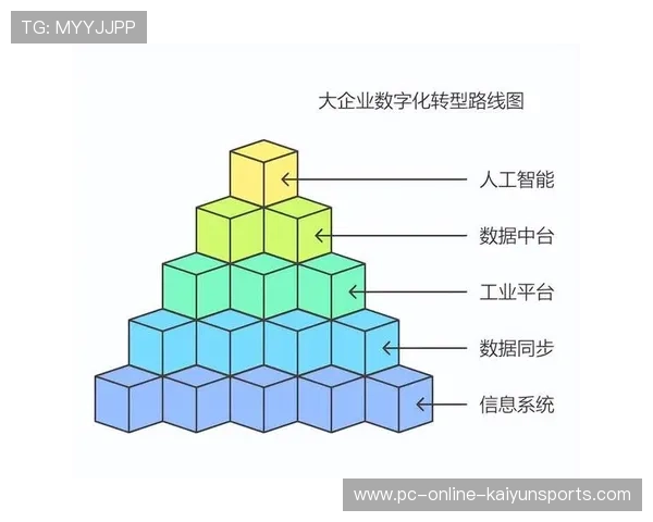 新闻中心亮点回顾数字化转型实践成果持续优化用户体验，数字化转型宣传主题